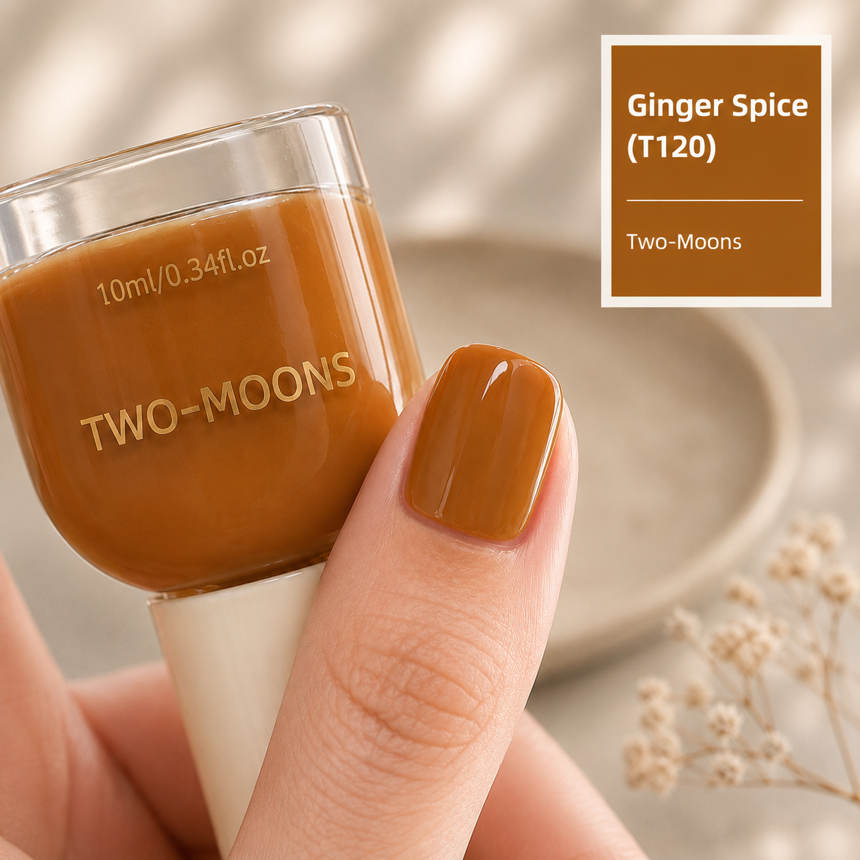 Two Moons All Seasons Collection | 33 Every Season Shades